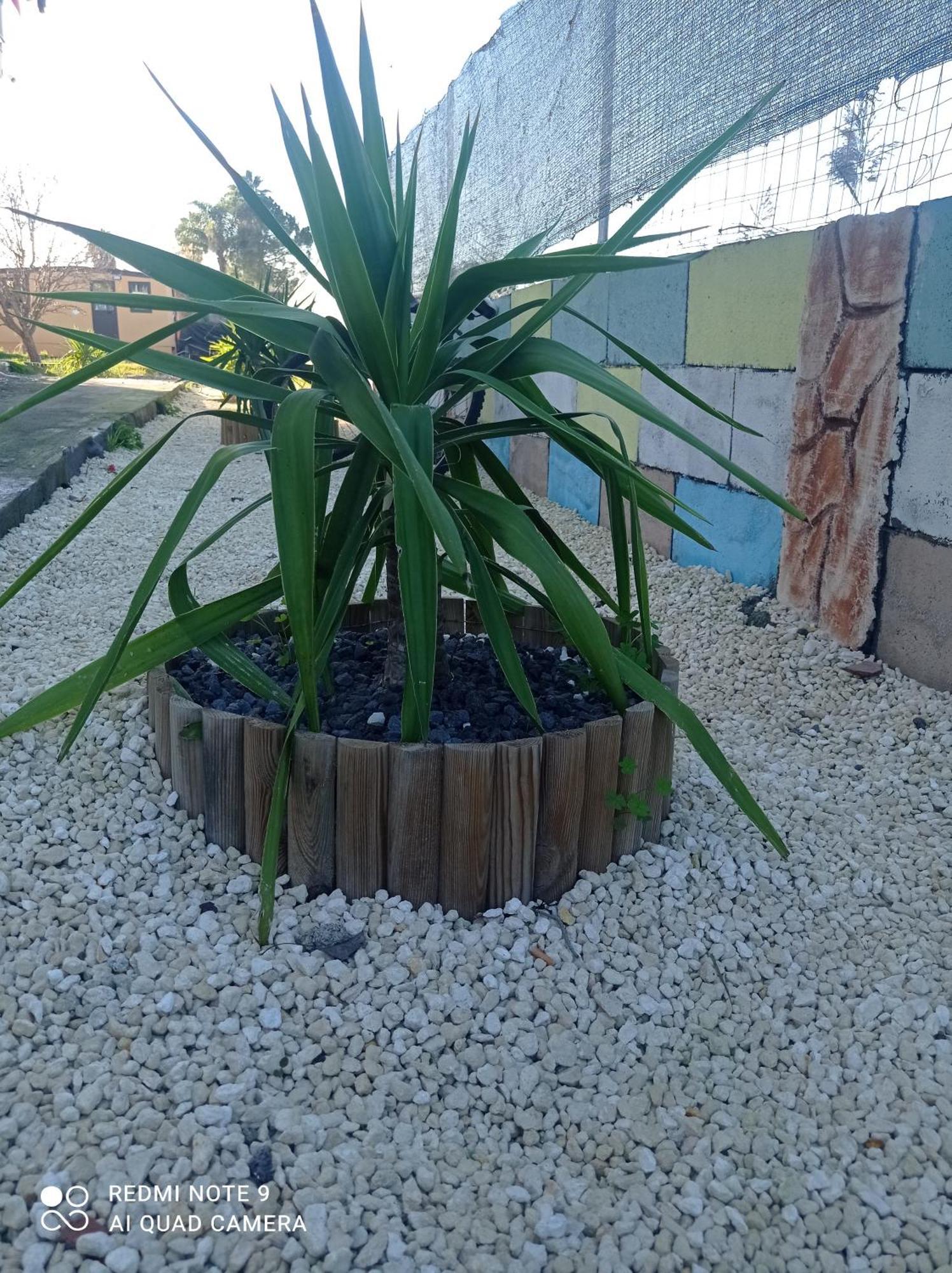 Villa Mirko Vaccarizzo-Delfino Exteriör bild